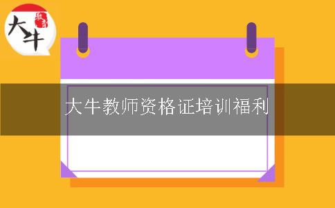 大牛教师资格证培训