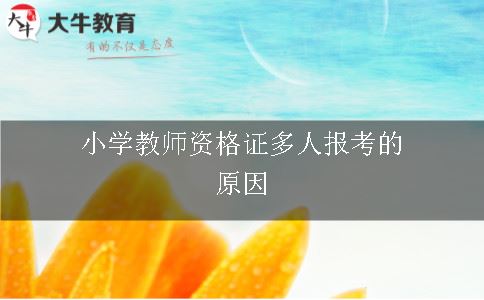 小学教师资格证多人报考的原因