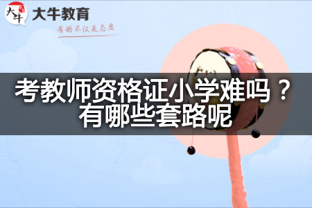 考教师资格证小学,考教师资格证小学套路,教师资格证