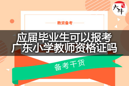 应届毕业生报考广东小学教师资格证