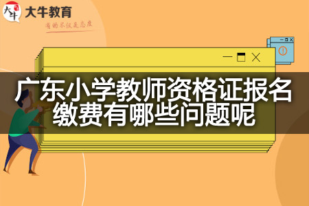 广东小学教师资格证报名