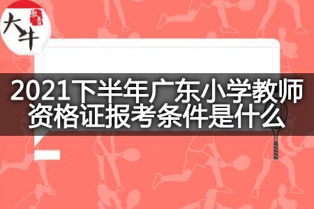 广东小学教师资格证报考