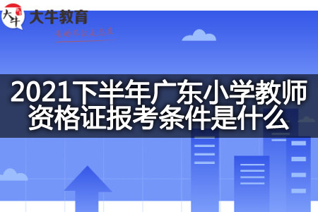 广东小学教师资格证报考