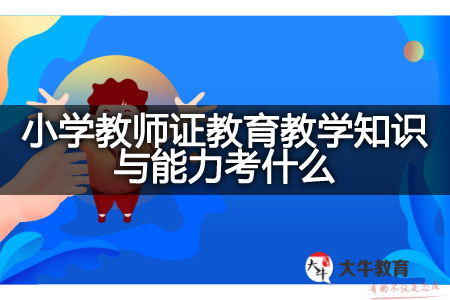 小学教师证教育教学知识与能力