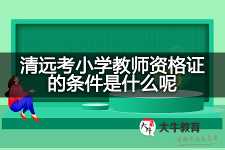 清远考小学教师资格证