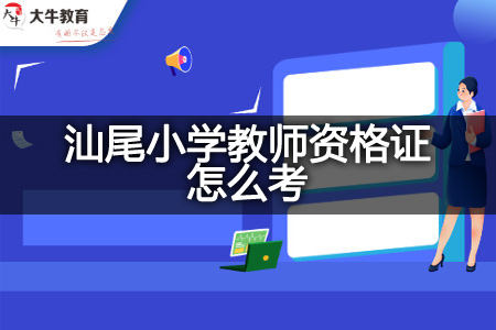 汕尾小学教师资格证