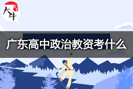 广东高中政治教资