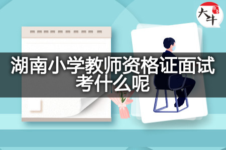 湖南小学教师资格证