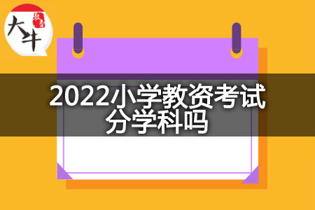 2022小学教资考试