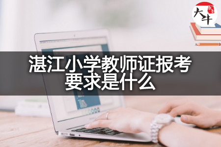 湛江小学教师证报考