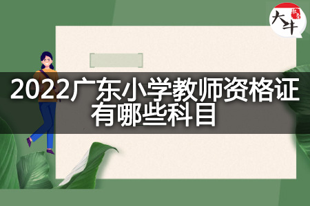 2022广东小学教师资格证科目