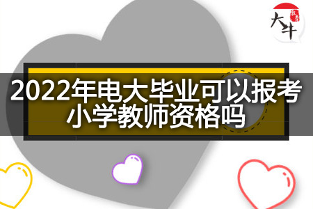 2022年电大毕业报考小学教师资格证