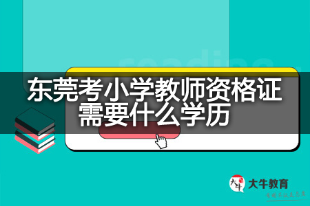 东莞考小学教师资格证学历