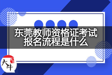 东莞教师资格证考试报名流程