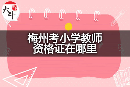 梅州考小学教师资格证