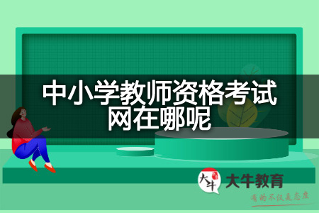 中小学教师资格考试网