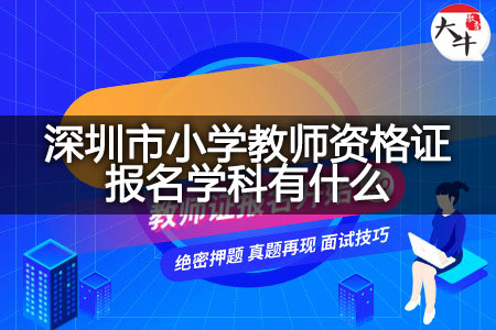 小学教师资格证报名学科