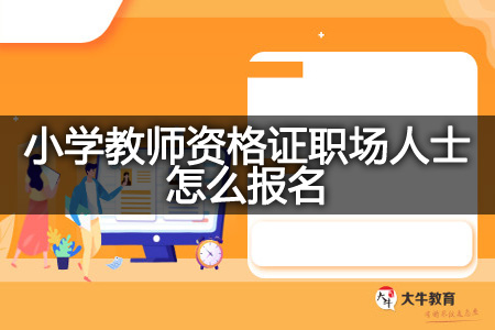 小学教师资格证职场人士报名