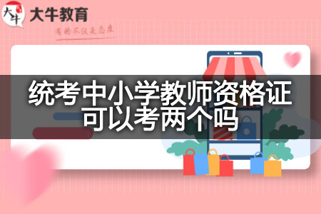 统考中小学教师资格证