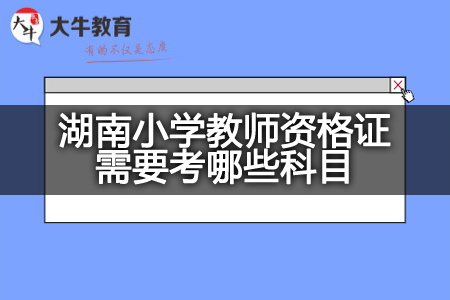 湖南小学教师资格证