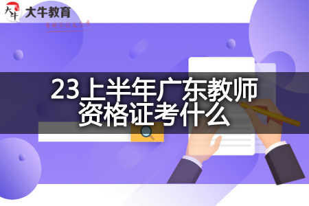 23上半年广东教师资格证