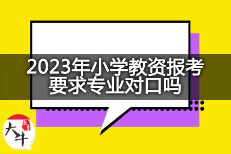 2023年小学教资报考