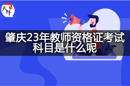 肇庆23年教师资格证考试科目