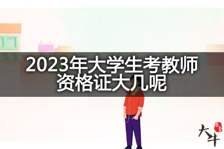 2023年大学生考教师资格证