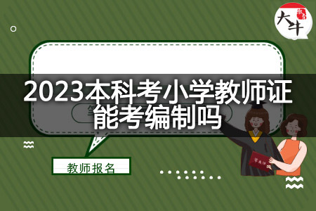 2023本科考小学教师证考编