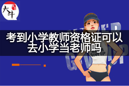 考到小学教师资格证