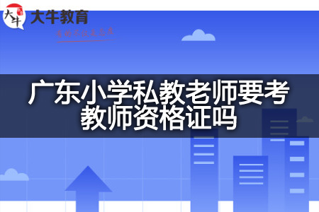 广东小学私教老师考教师资格证