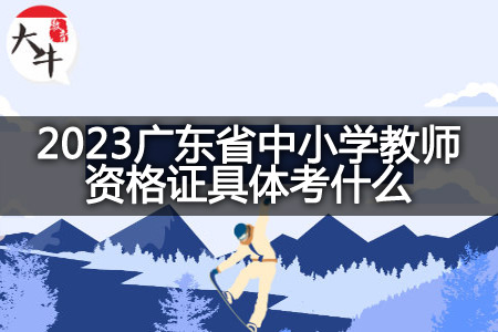 2023广东省中小学教师资格证