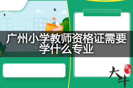 广州小学教师资格证专业