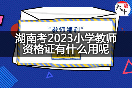 湖南考2023小学教师资格证