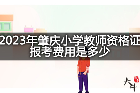 2023年肇庆小学教师资格证报考费用