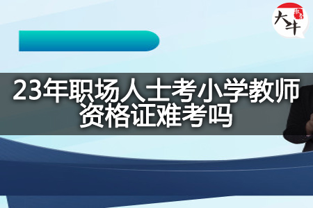 23年职场人士考小学教师资格证