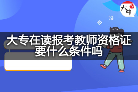 大专在读报考教师资格证