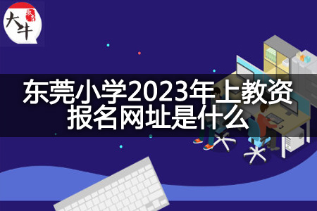 东莞小学2023年上教资报名网址