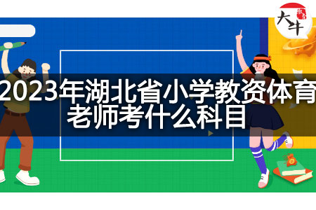 2023年湖北省小学教资体育老师