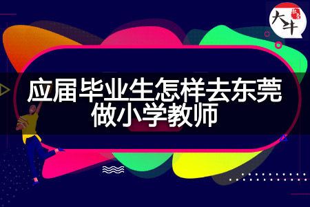 应届毕业生去东莞做小学教师