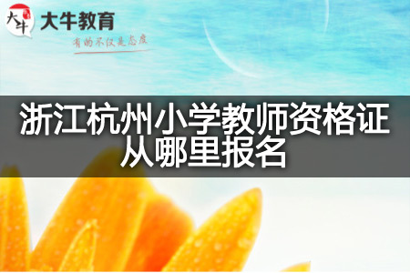 浙江杭州小学教师资格证