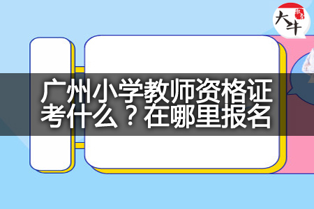 广州小学教师资格证报名