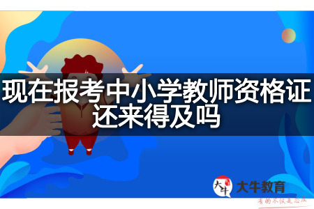 现在报考中小学教师资格证