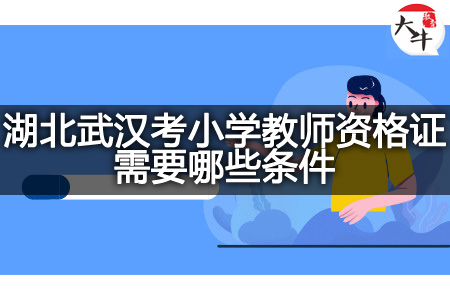 湖北武汉考小学教师资格证条件