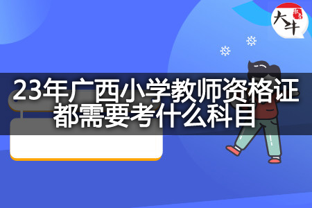 23年广西小学教师资格证科目