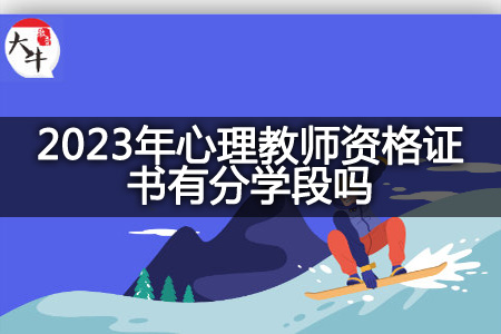 2023年心理教师资格证书学段