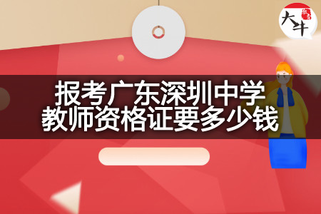 报考广东深圳中学教师资格证