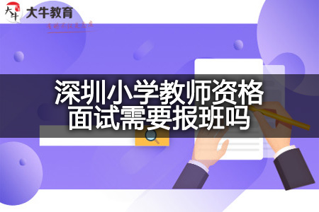 深圳小学教师资格面试报班